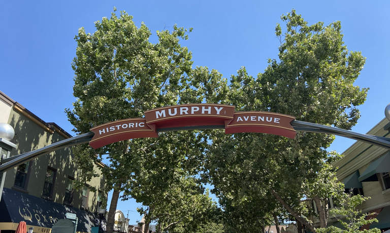 Does your Silicon Valley SEO agency really know your business or your area?