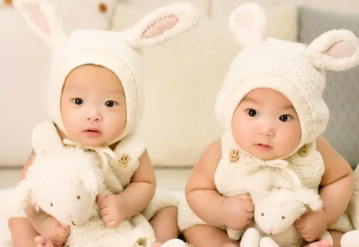 Duplicate Domain Names