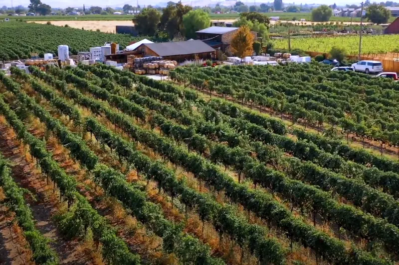 Drone videography shot