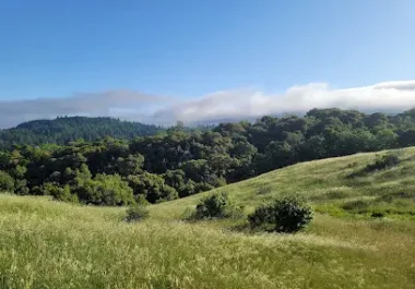 Monte Bello Open Space Preserve