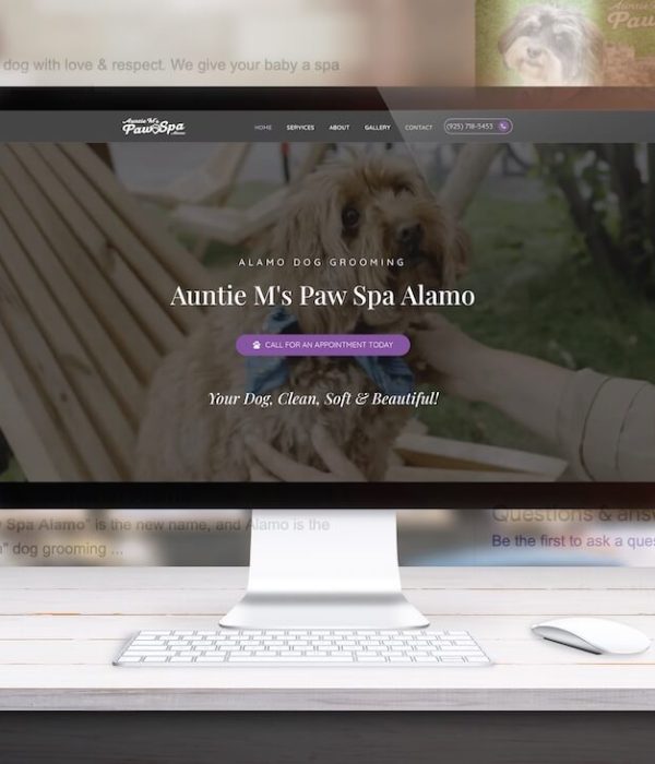 Bay Area SEO Services